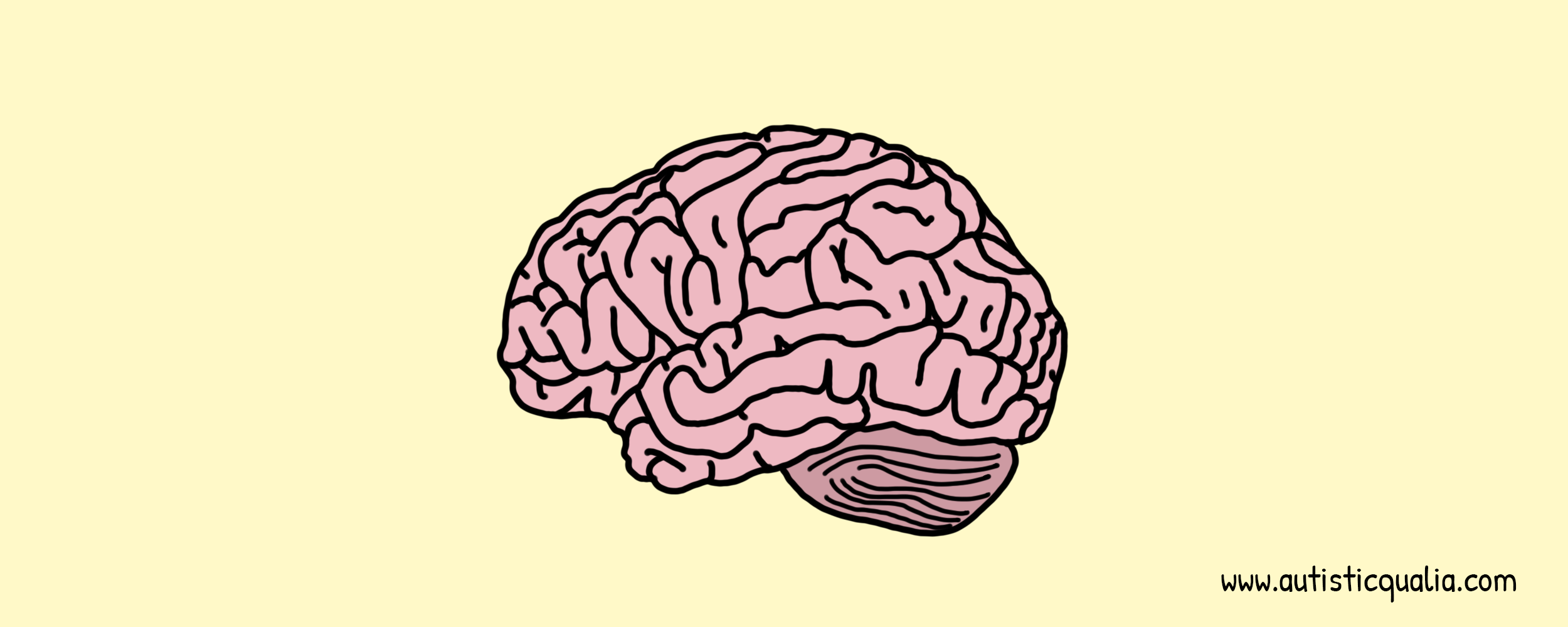 Brain drawing